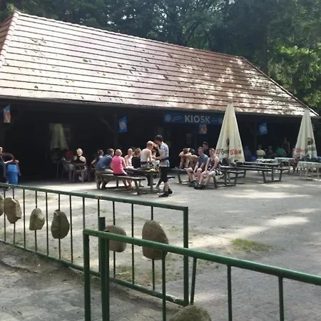 In Boergerwald Mit Sauna Appartamento Surwold